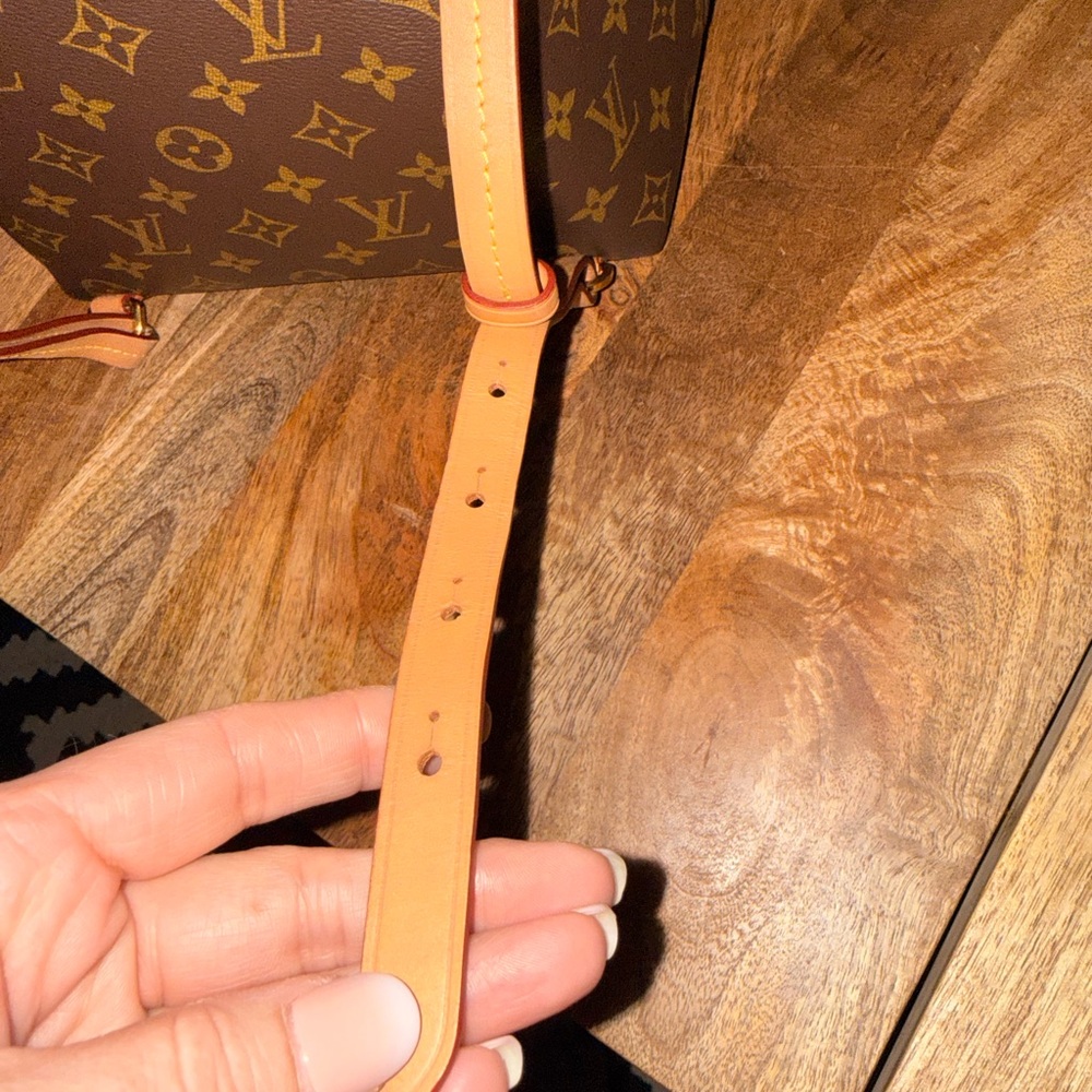 Louis Vuitton Montsouris PM Backpack 💕 ❤️ - Picture 14 of 16